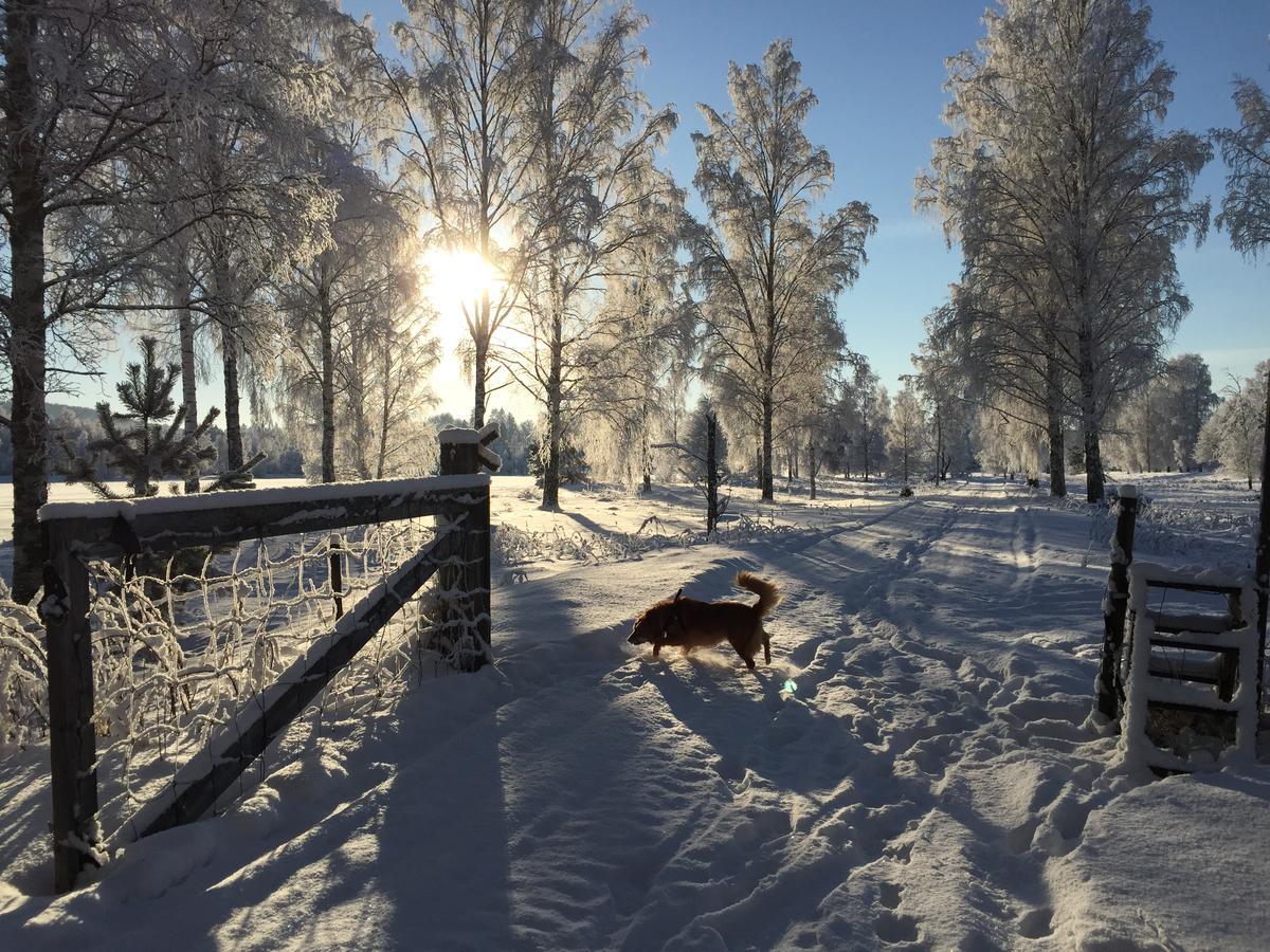 Gaestgivars Vandrarhem Och B&B Jarvso Bagian luar foto